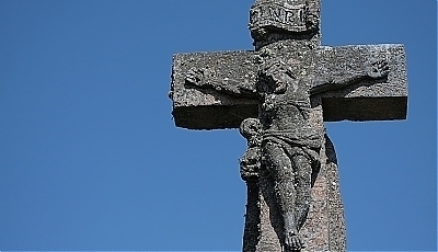 19539.jpg
