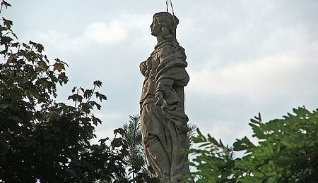 19576.jpg