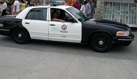 12641.jpg