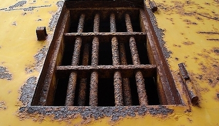 12259.jpg