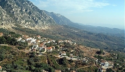 12445.jpg