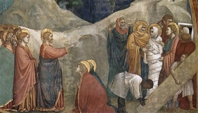 13271.jpg