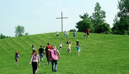 14156.jpg