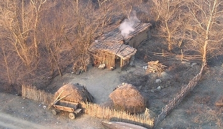 14225.jpg