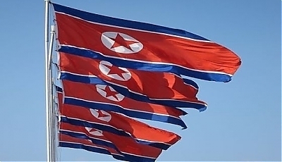 14955.jpg