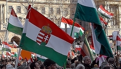 16562.jpg