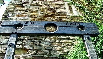 16559.jpg