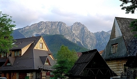 16742.jpg