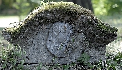 17167.jpg