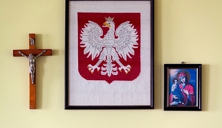 17798.jpg