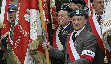 17836.jpg