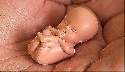 31435.jpg