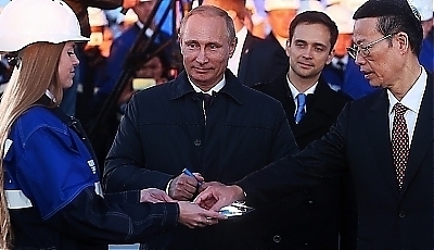 31463.jpg