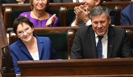 31781.jpg