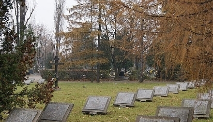 31404.jpg