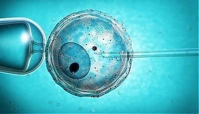 31574.jpg