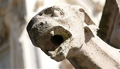 32651.jpg