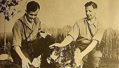 21251.jpg