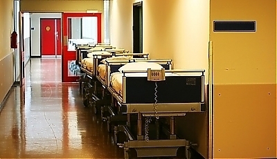 21243.jpg