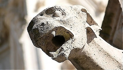 21093.jpg
