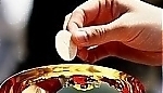 21709.jpg
