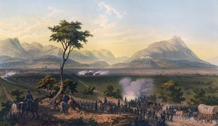 21724.jpg