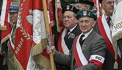 23264.jpg