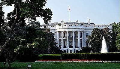 23705.jpg