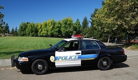 23541.jpg