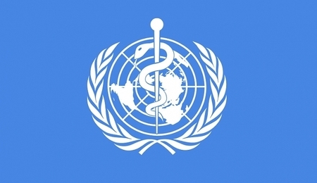 23521.jpg