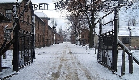 24761.jpg