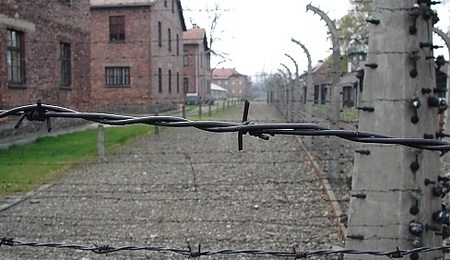 24667.jpg