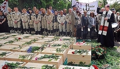 25273.jpg