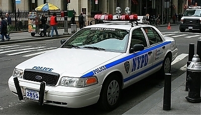 25730.jpg