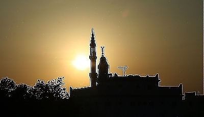 25348.jpg