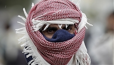 25647.jpg