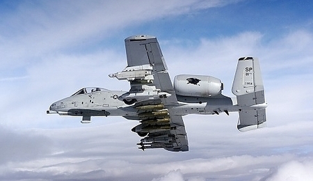 25607.jpg