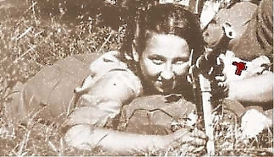 25504.jpg