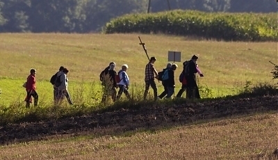 25472.jpg