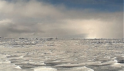 25679.jpg