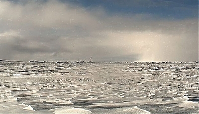 25278.jpg