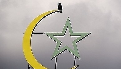 38530.jpg