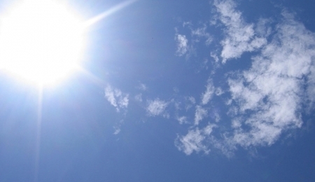 35381.jpg