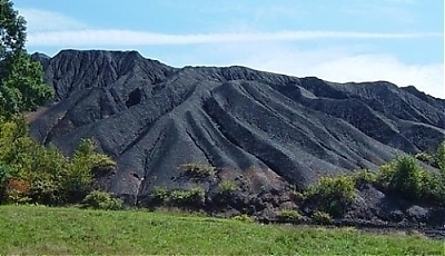 35457.jpg