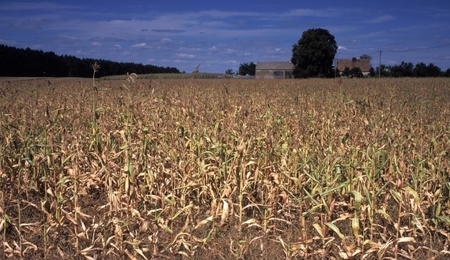 37496.jpg