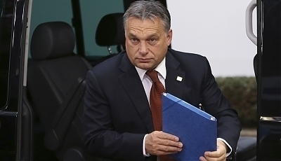 37964.jpg