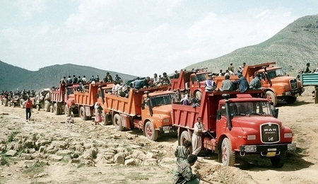 37976.jpg