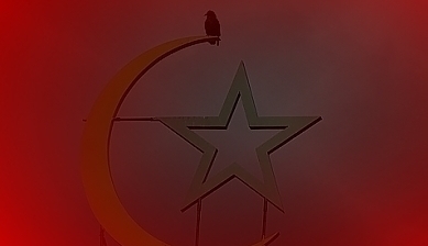37871.jpg