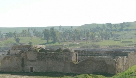 40720.jpg