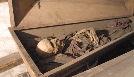 46945.jpg